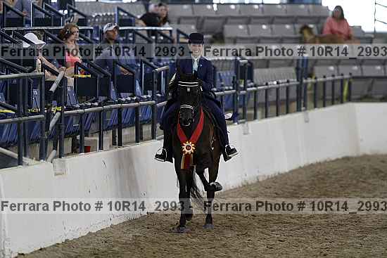 Proof Number 10r14_2993