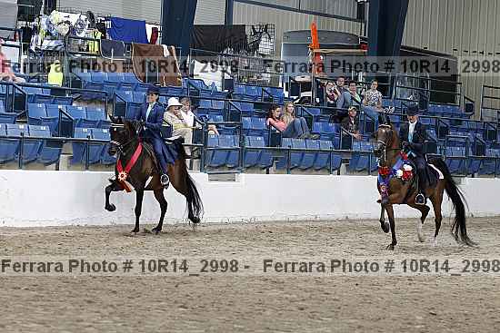 Proof Number 10r14_2998