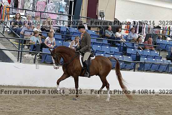 Proof Number 10r14_3028