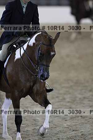 Proof Number 10r14_3030
