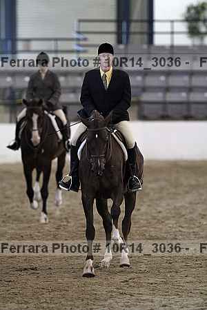 Proof Number 10r14_3036