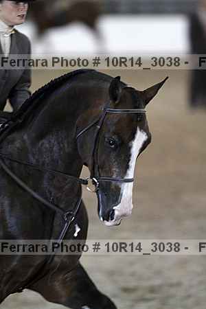 Proof Number 10r14_3038