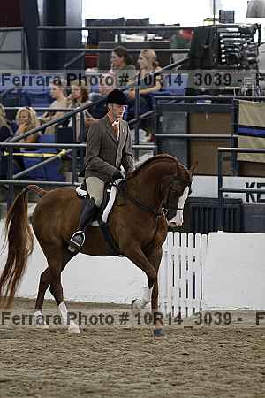 Proof Number 10r14_3039