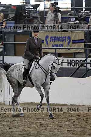 Proof Number 10r14_3040