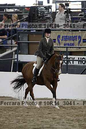Proof Number 10r14_3041