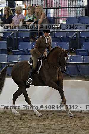 Proof Number 10r14_3042