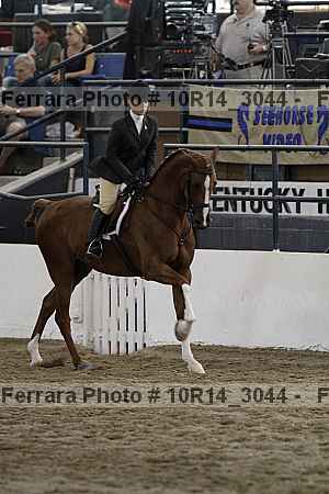 Proof Number 10r14_3044