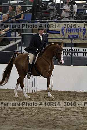 Proof Number 10r14_3046