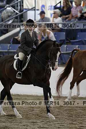 Proof Number 10r14_3047