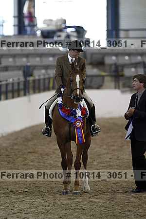 Proof Number 10r14_3051
