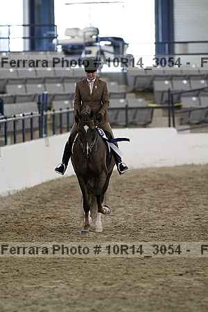 Proof Number 10r14_3054