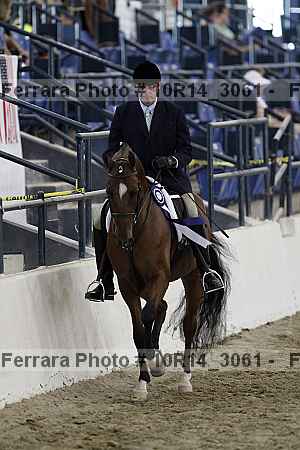 Proof Number 10r14_3061