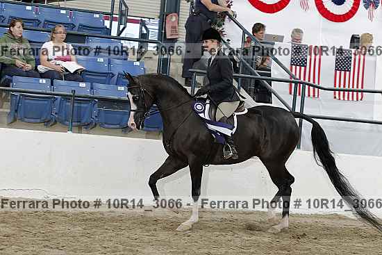 Proof Number 10r14_3066