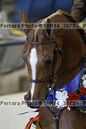 Proof Number 10r14_3075