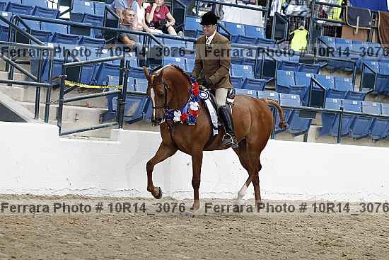 Proof Number 10r14_3076