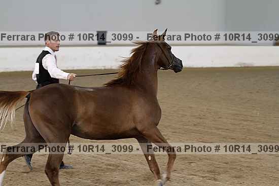 Proof Number 10r14_3099