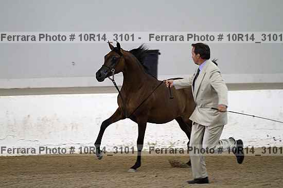 Proof Number 10r14_3101