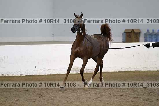 Proof Number 10r14_3108