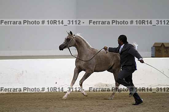 Proof Number 10r14_3112