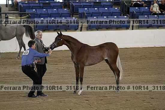 Proof Number 10r14_3118