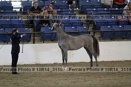 Proof Number 10r14_3119
