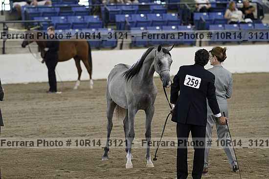 Proof Number 10r14_3121