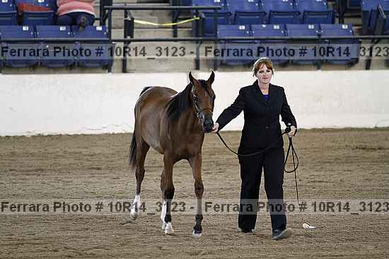 Proof Number 10r14_3123