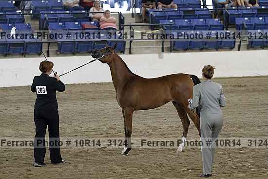Proof Number 10r14_3124