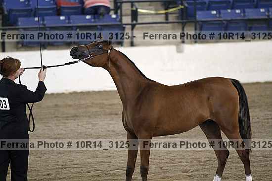 Proof Number 10r14_3125