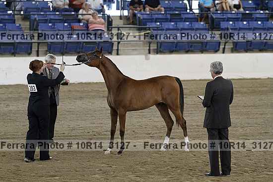 Proof Number 10r14_3127