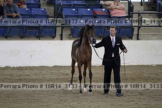 Proof Number 10r14_3133