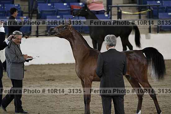 Proof Number 10r14_3135