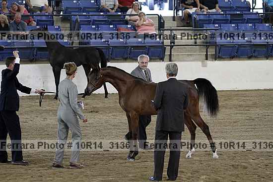 Proof Number 10r14_3136