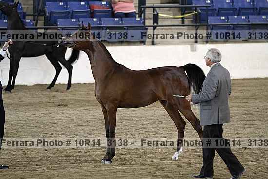 Proof Number 10r14_3138