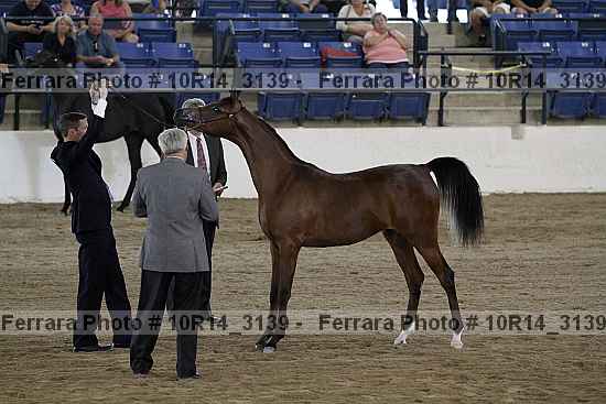 Proof Number 10r14_3139