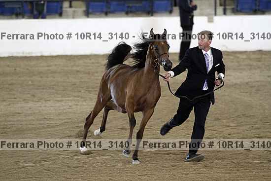 Proof Number 10r14_3140