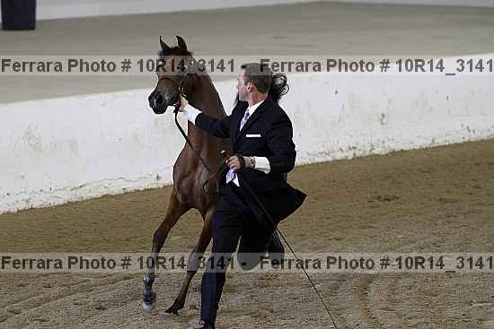 Proof Number 10r14_3141