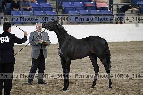 Proof Number 10r14_3144