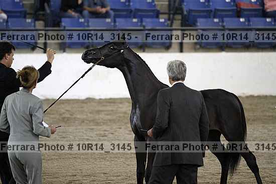 Proof Number 10r14_3145
