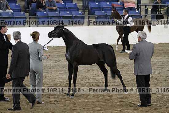 Proof Number 10r14_3146