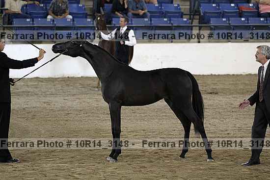 Proof Number 10r14_3148