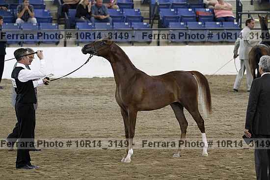 Proof Number 10r14_3149