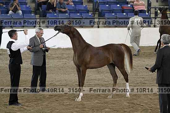 Proof Number 10r14_3150