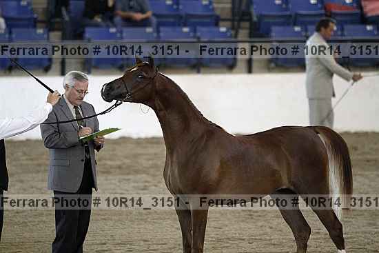 Proof Number 10r14_3151