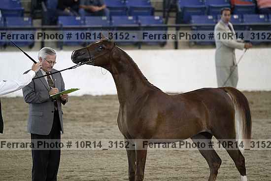 Proof Number 10r14_3152