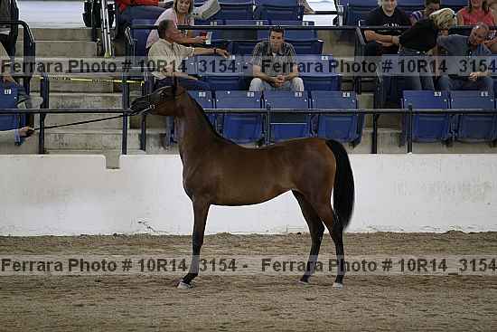 Proof Number 10r14_3154