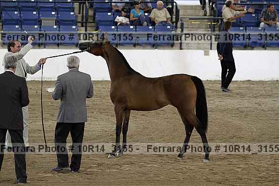 Proof Number 10r14_3155
