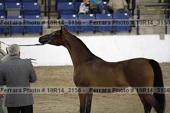 Proof Number 10r14_3156