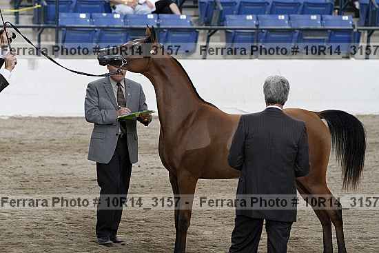 Proof Number 10r14_3157