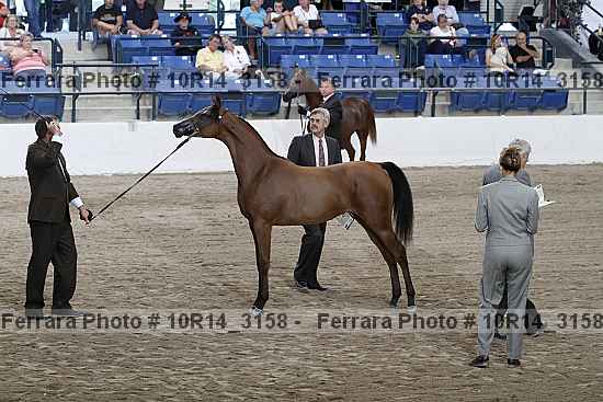 Proof Number 10r14_3158
